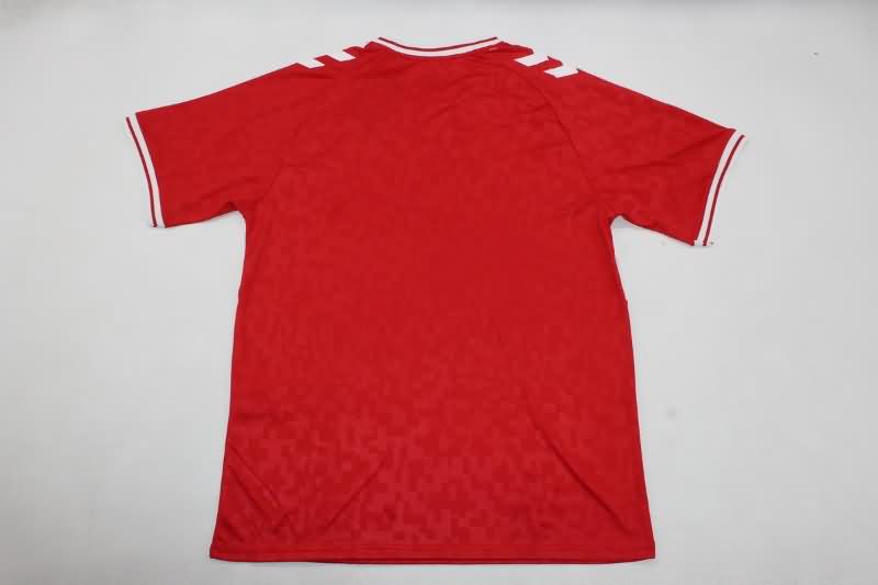 Thailand Quality(AAA) 2024 Denmark Home Soccer Jersey