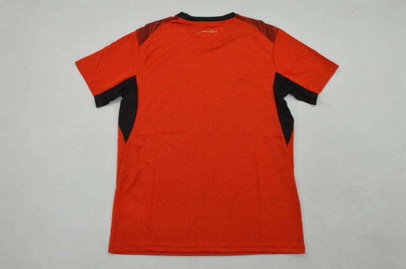 Thailand Quality(AAA) 2026 Egypt World Cup Home Soccer Jersey