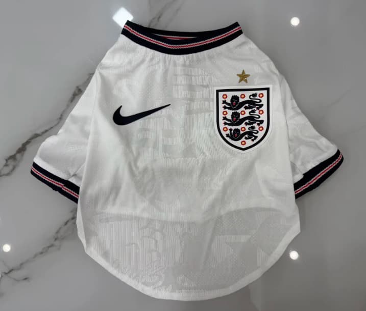 Thailand Quality(AAA) 2026 England Home Pet Soccer Jersey