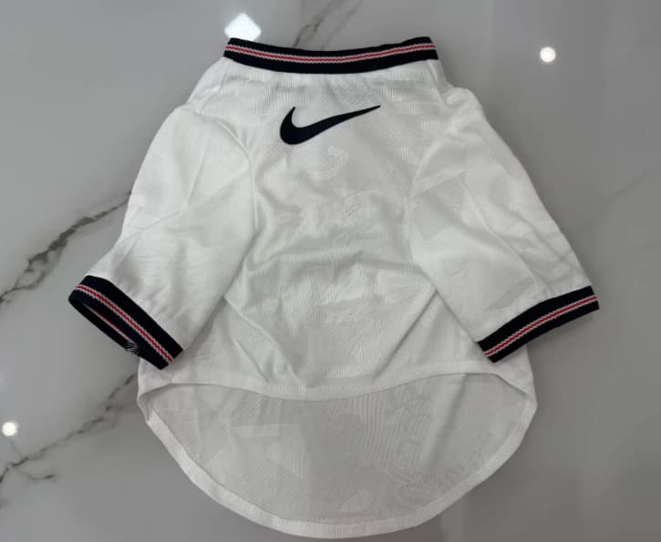 Thailand Quality(AAA) 2026 England Home Pet Soccer Jersey