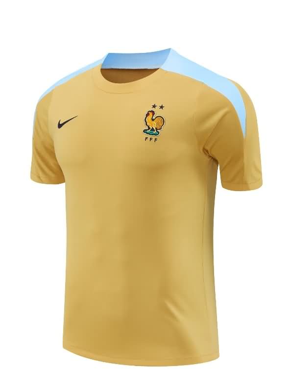 Thailand Quality(AAA) 2024 France Training Soccer Jersey 03
