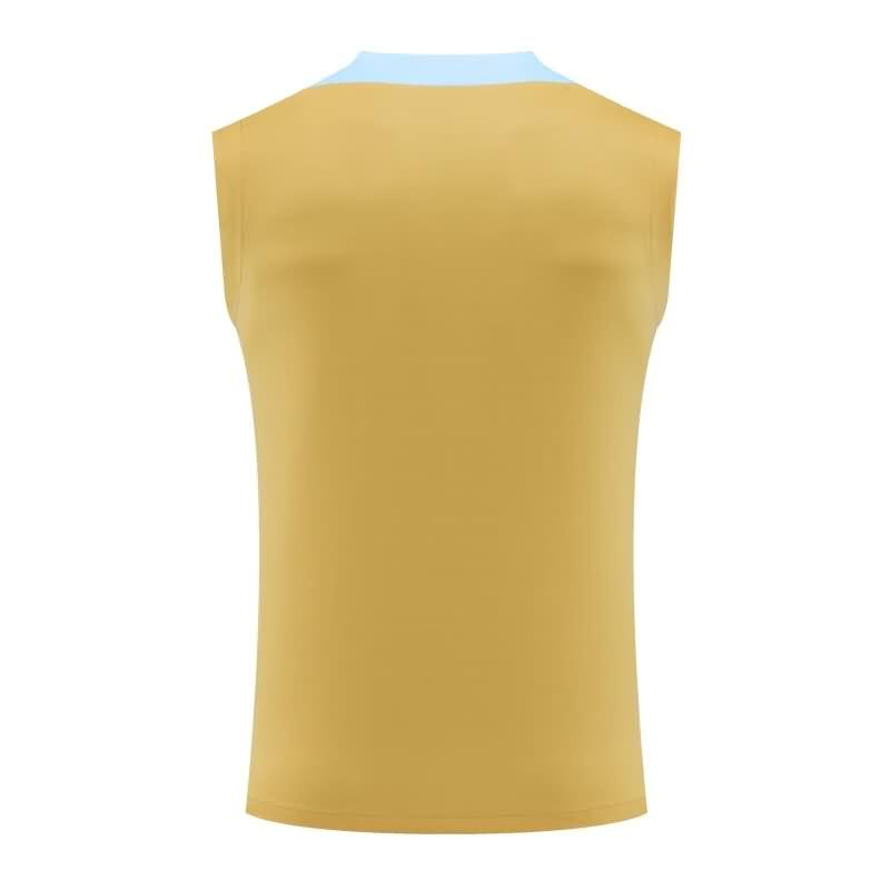 Thailand Quality(AAA) 2024 France Training Vest Soccer Jersey 03