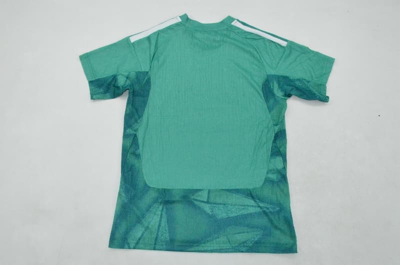Thailand Quality(AAA) 2026 Germany World Cup Goalkeeper Green Soccer Jersey (Player)