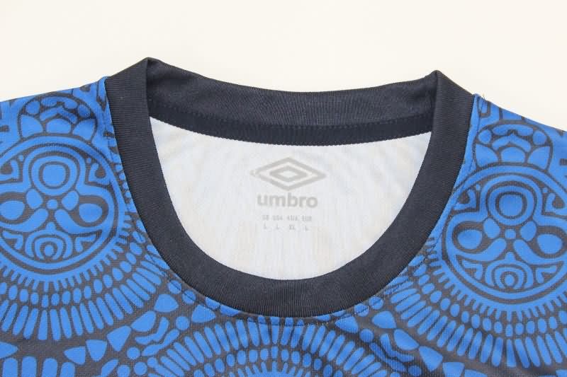 Thailand Quality(AAA) 2025 Guatemala Training Soccer Jersey