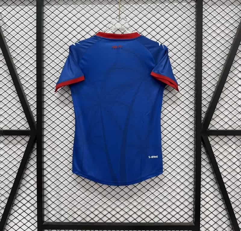 Thailand Quality(AAA) 2026 Haiti World Cup Home Women Soccer Jersey