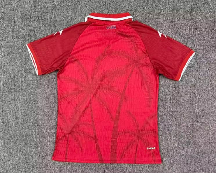 Thailand Quality(AAA) Haiti 2026 World Cup Third Soccer Jersey (Player)