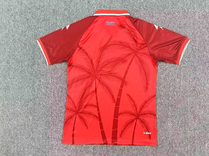 Thailand Quality(AAA) 2026 World Cup Haiti Third Soccer Jersey