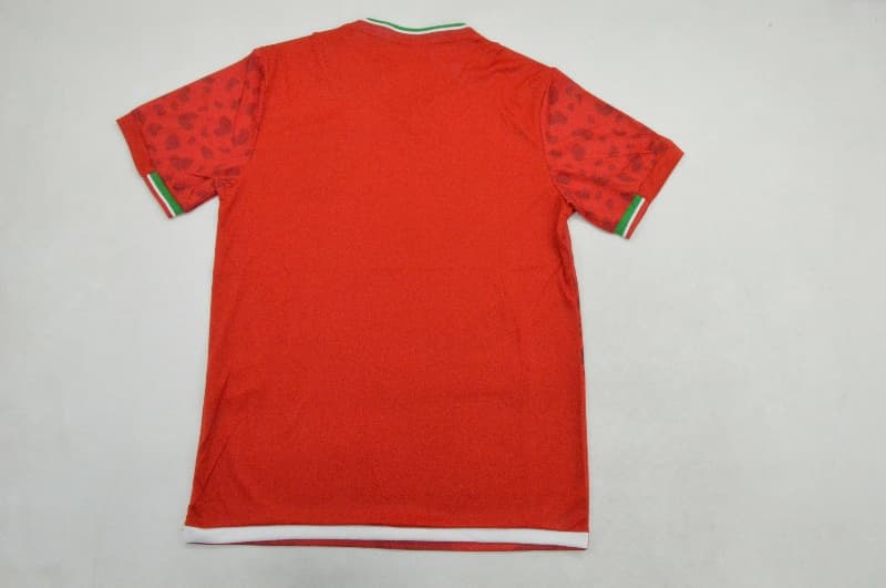 Thailand Quality(AAA) 2026 Iran World Cup Away Soccer Jersey
