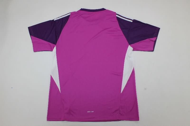 Thailand Quality(AAA) 2025 Italy Goalkeeper Purple Soccer Jersey