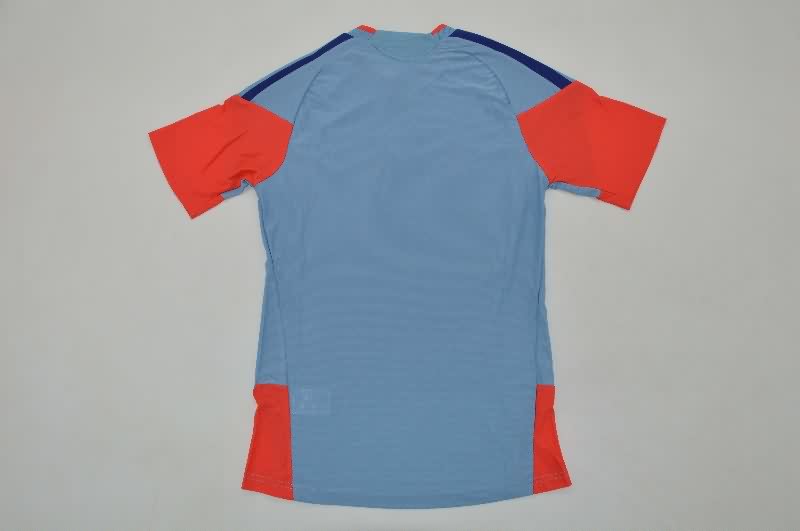 Thailand Quality(AAA) 2026 World Cup Japan Away Soccer Jersey (Player)