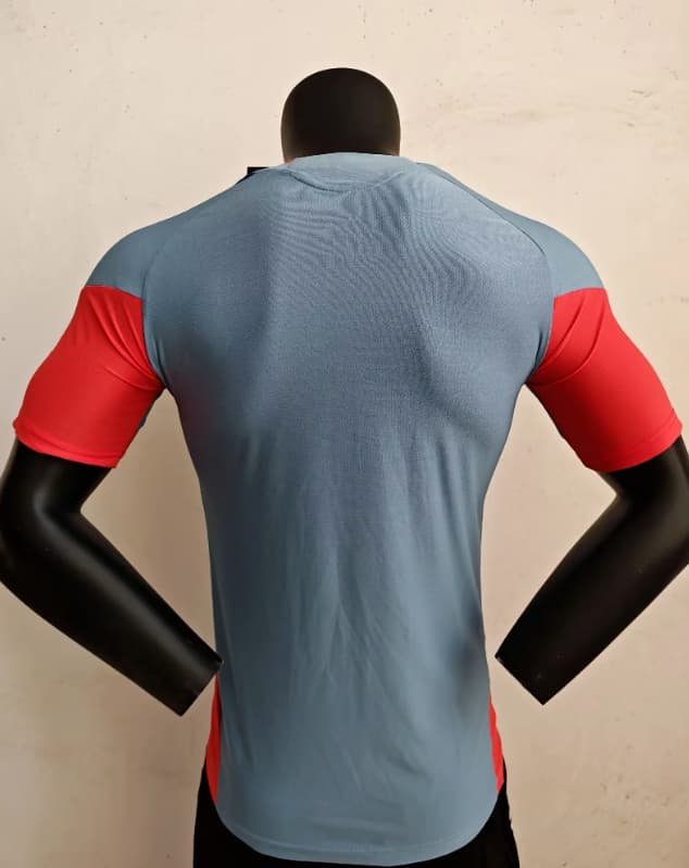 Thailand Quality(AAA) 2026 Japan Training Soccer Jersey (Player)