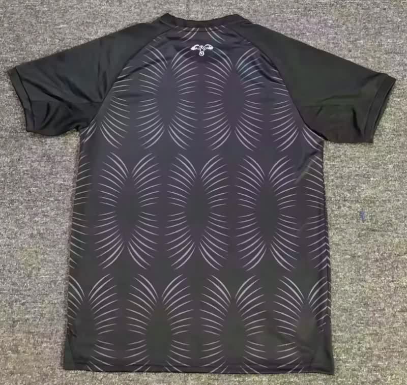 Thailand Quality(AAA) 25/26 Jordan Third Soccer Jersey