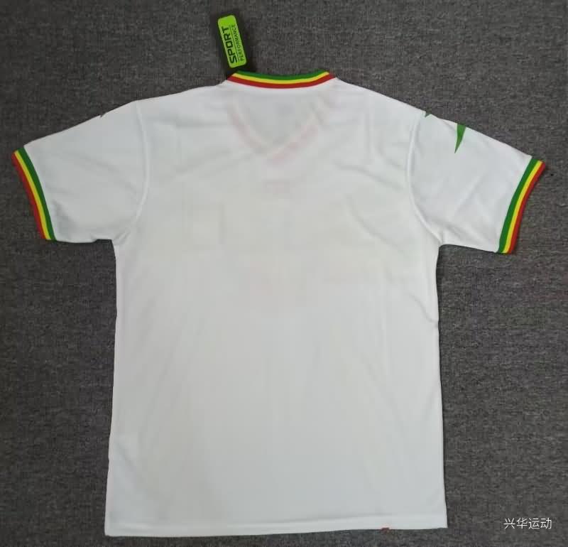 Thailand Quality(AAA) 2023 Mali Away Soccer Jersey