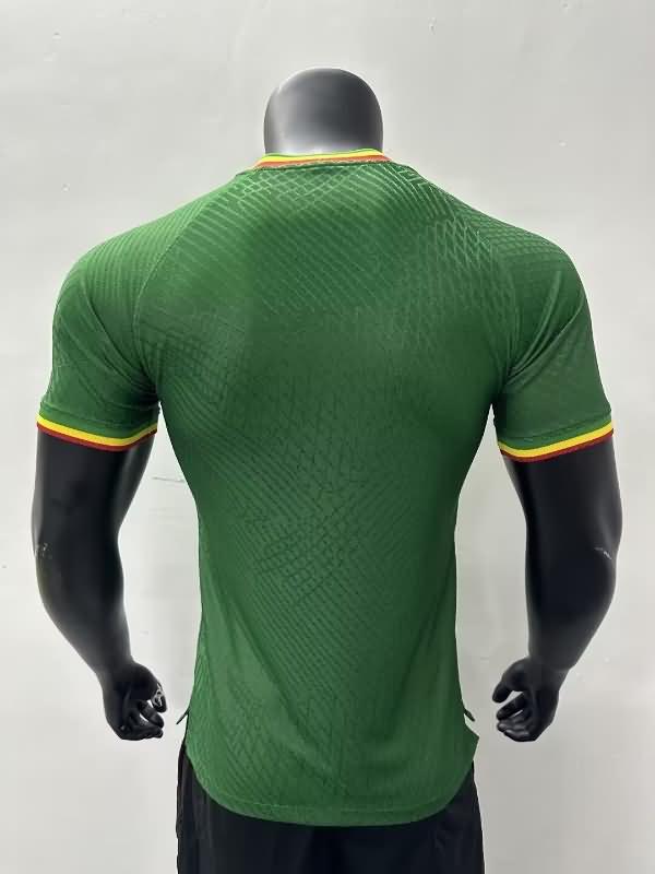 Thailand Quality(AAA) 2023 Mali Home Soccer Jersey (Player)