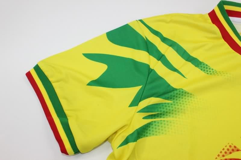 Thailand Quality(AAA) 2023 Mali Training Soccer Jersey