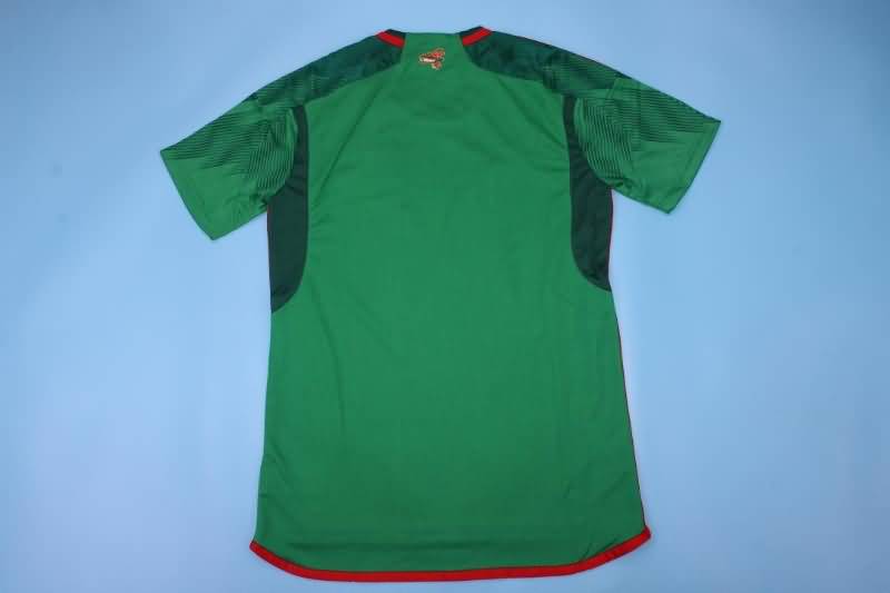 Thailand Quality(AAA) 2022 World Cup Mexico Home Soccer Jersey