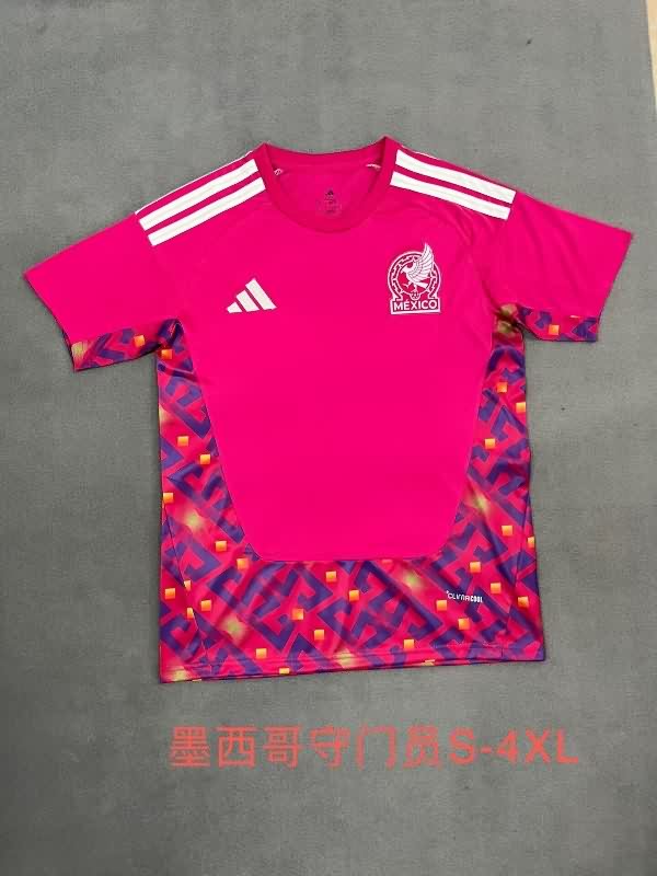 Thailand Quality(AAA) 2025 Mexico Goalkeeper Pink Soccer Jersey