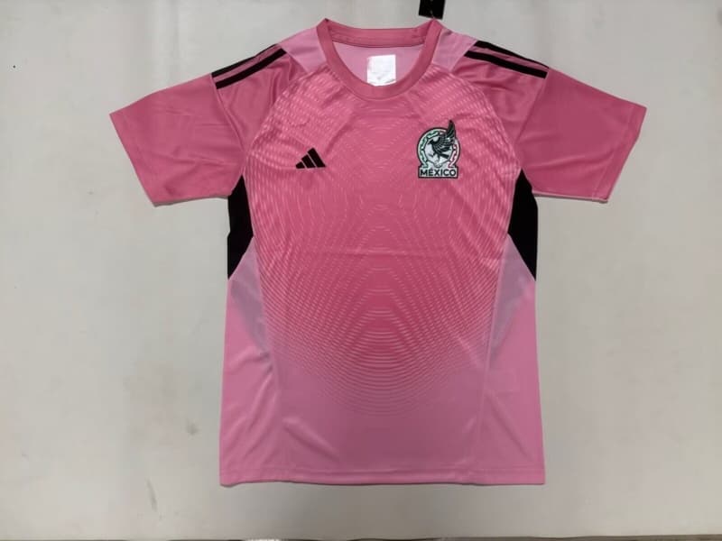 Thailand Quality(AAA) 2026 Mexico Goalkeeper Pink Soccer Jersey 02