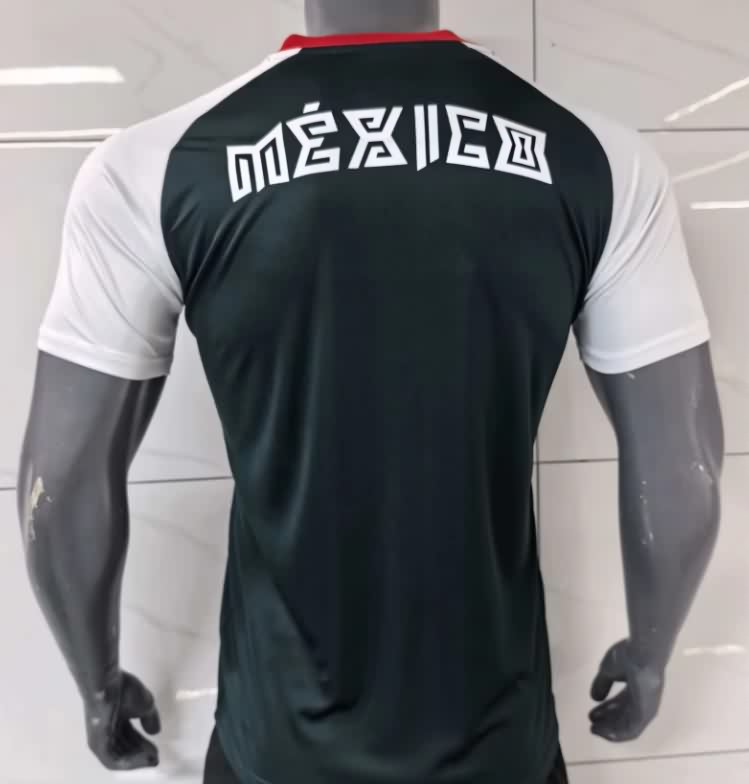 Thailand Quality(AAA) 2026 Mexico Training Soccer Jersey 02