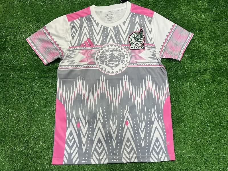 Thailand Quality(AAA) 2026 Mexico Training Soccer Jersey 03