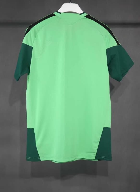 Thailand Quality(AAA) 2026 Mexico Training Soccer Jersey (Player) 05