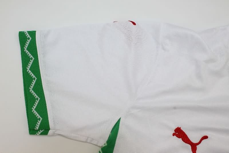 Thailand Quality(AAA) 2025 Morocco Away Soccer Jersey
