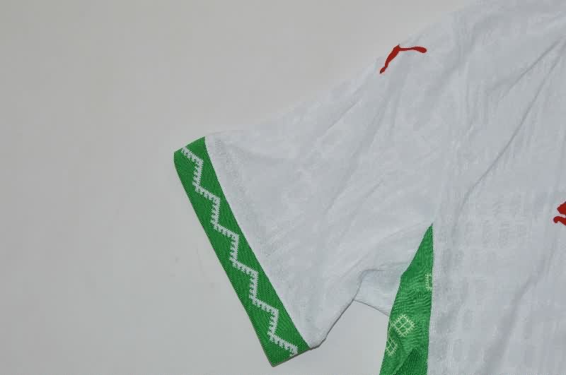 Thailand Quality(AAA) 2025 Morocco Away Soccer Jersey (Player)