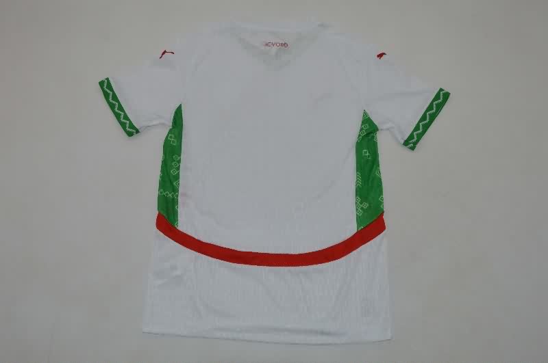 Thailand Quality(AAA) 2025 Morocco Away Soccer Jersey (Player)