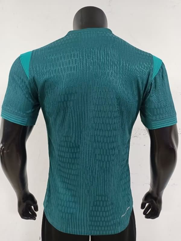 Thailand Quality(AAA) 2025 Nigeria Away Soccer Jersey (Player)