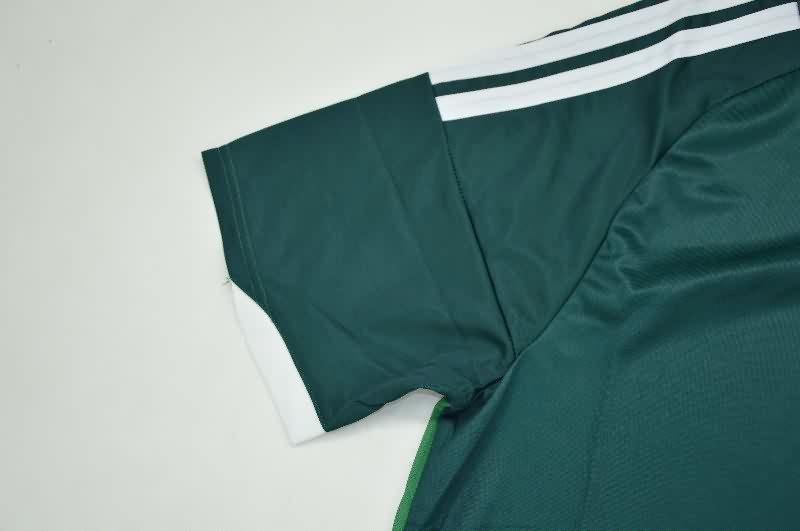 Thailand Quality(AAA) 2026 Northern Ireland Home Soccer Jersey