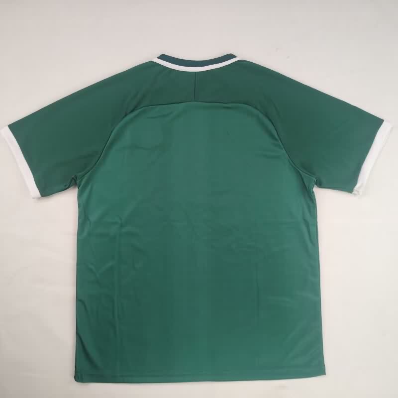 Thailand Quality(AAA) 2026 Palestine Green Soccer Jersey
