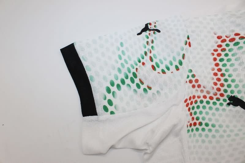 Thailand Quality(AAA) 2025 Portugal Away Women Soccer Jersey