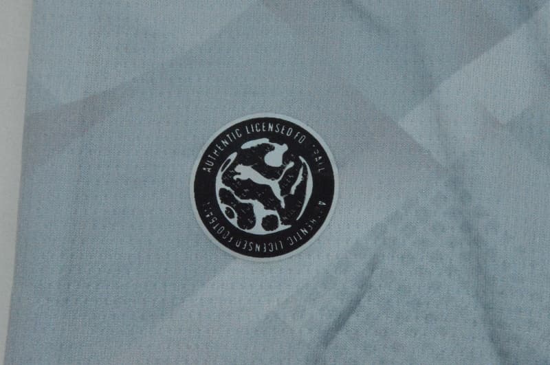 Thailand Quality(AAA) 2026 Portugal Goalkeeper Grey Soccer Jersey