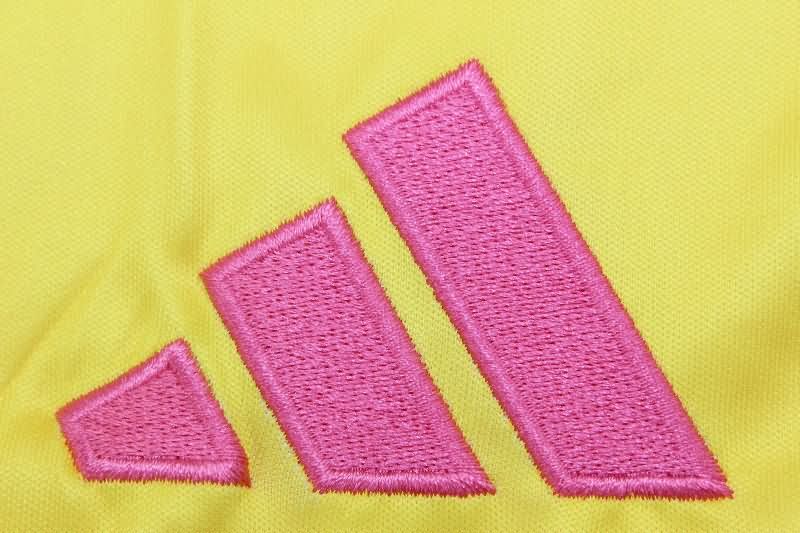 Thailand Quality(AAA) 2025 Scotland Female EURO Away Soccer Jersey