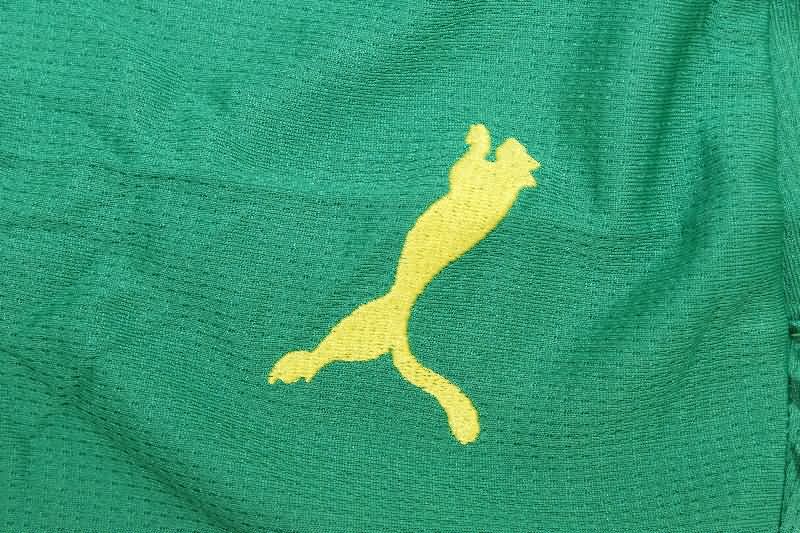 Thailand Quality(AAA) 2025 Senegal Away Soccer Jersey