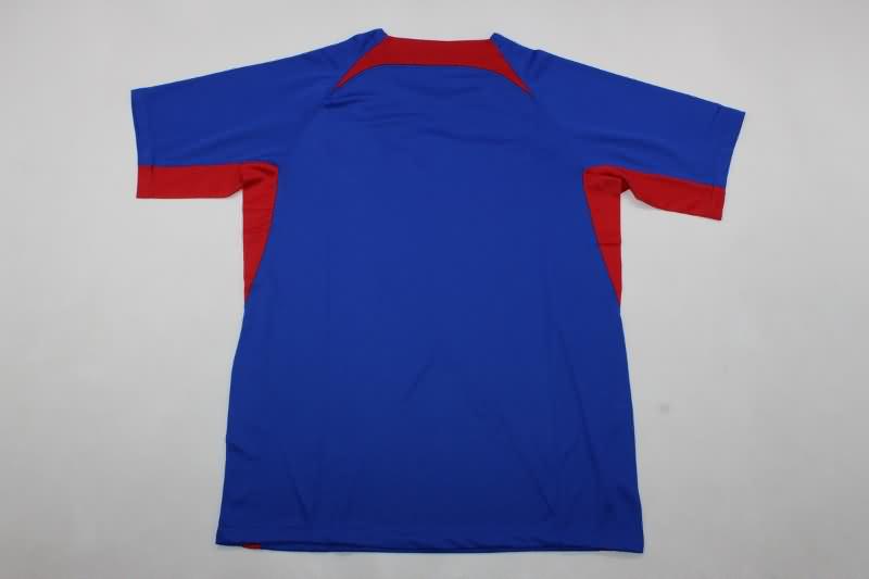 Thailand Quality(AAA) 2024 Slovakia Home Soccer Jersey