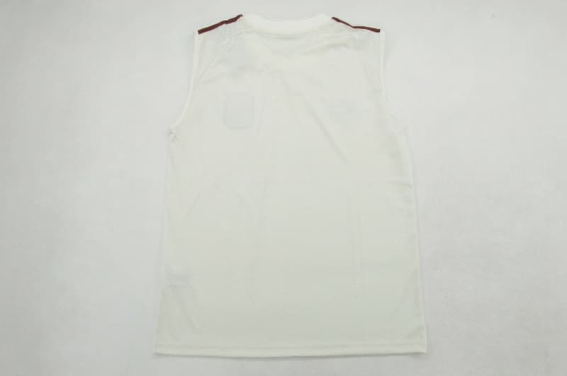 Thailand Quality(AAA) 2026 Spain Training Vest Soccer Jersey 02