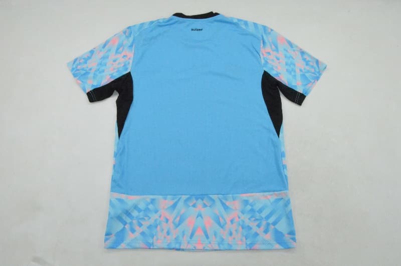 Thailand Quality(AAA) 2026 Switzerland Goalkeeper Blue Soccer Jersey