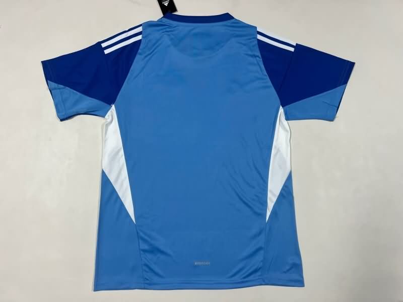 Thailand Quality(AAA) 2025 Venezuela Goalkeeper Blue Soccer Jersey