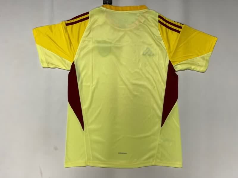 Thailand Quality(AAA) 2025 Venezuela Goalkeeper Yellow Soccer Jersey