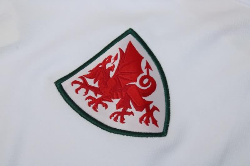 Thailand Quality(AAA) 2022 Wales World Cup Away Soccer Jersey