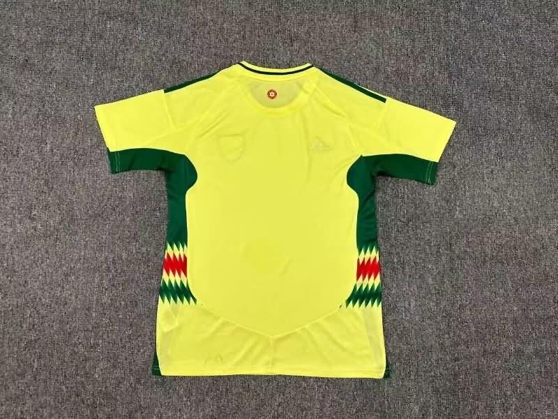 Thailand Quality(AAA) 2024 Wales Away Soccer Jersey