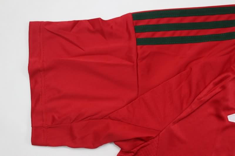 Thailand Quality(AAA) 2024 Wales Home Soccer Jersey