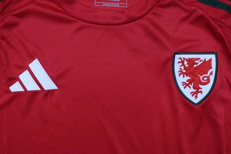 Thailand Quality(AAA) 2024 Wales Home Soccer Jersey