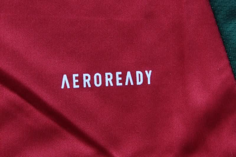 Thailand Quality(AAA) 2024 Wales Home Soccer Jersey