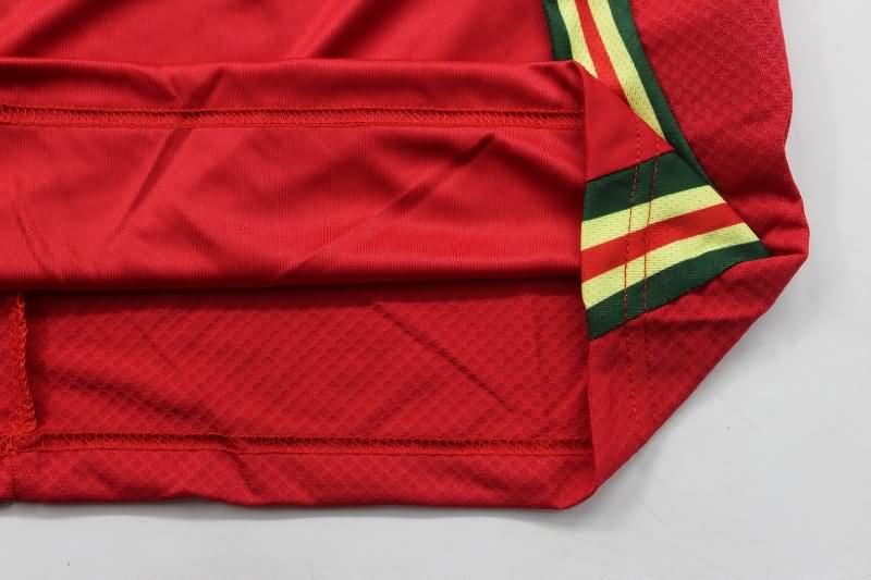 Thailand Quality(AAA) 2024 Wales Home Soccer Jersey