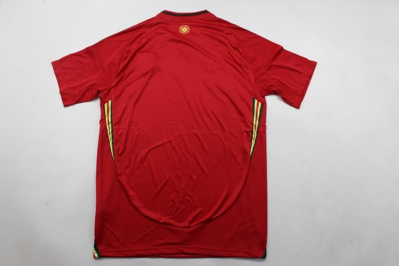 Thailand Quality(AAA) 2024 Wales Home Soccer Jersey