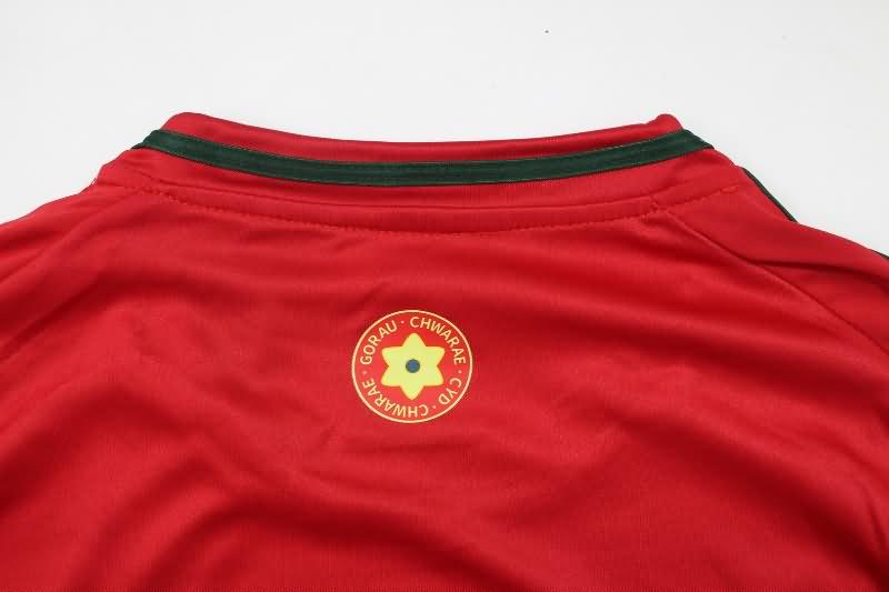 Thailand Quality(AAA) 2024 Wales Home Soccer Jersey
