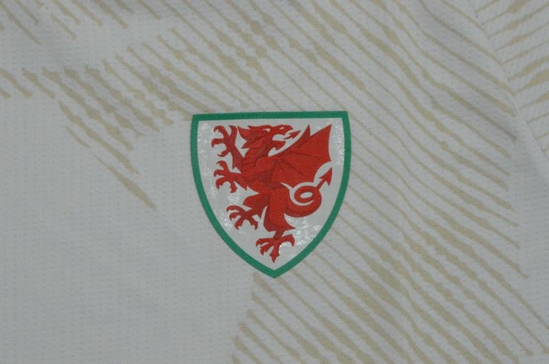 Thailand Quality(AAA) 2026 Wales Away Soccer Jersey (Player)