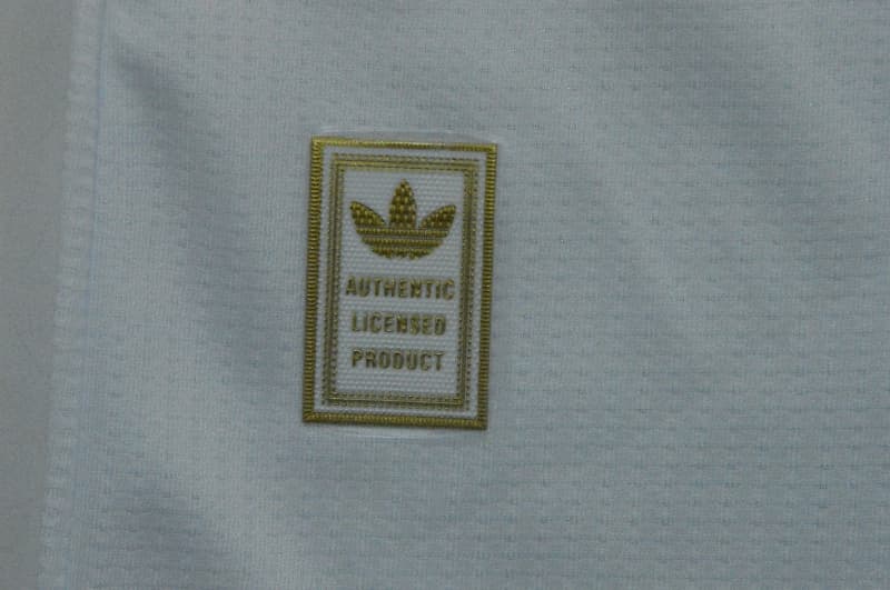 Thailand Quality(AAA) 2026 Wales Away Soccer Jersey (Player)
